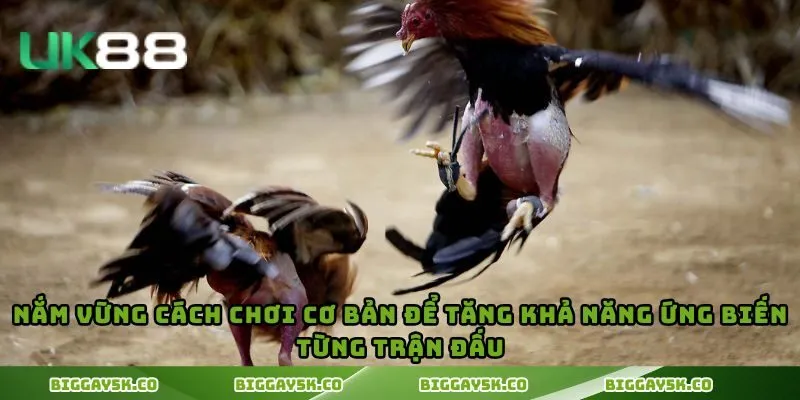 Nắm vững cách chơi cơ bản để tăng khả năng ứng biến từng trận đấu